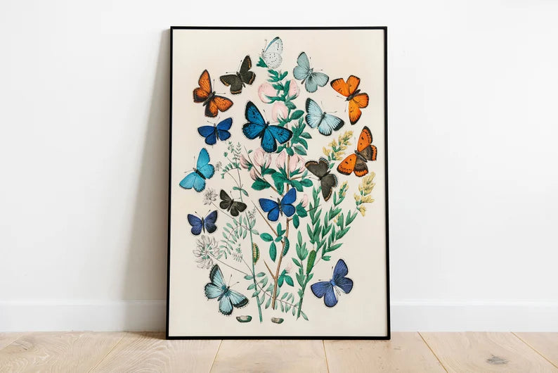 Eclectic Wall  - Set of 5