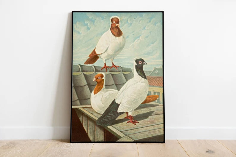 Eclectic Wall  - Set of 5