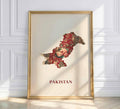 Pakistan Map Wall Frame | Modern Art Frame