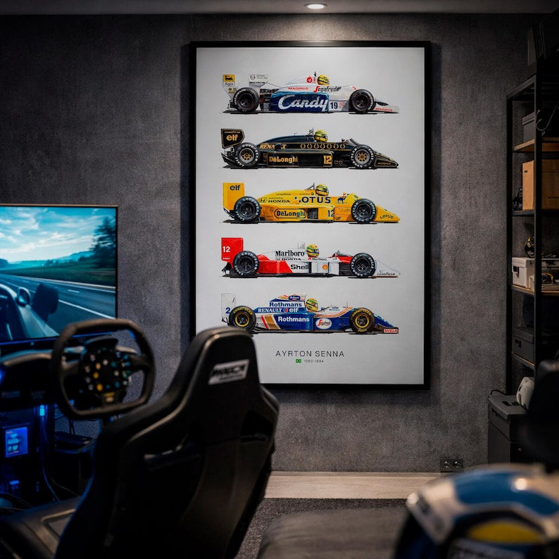 Ayrton Senna Cars